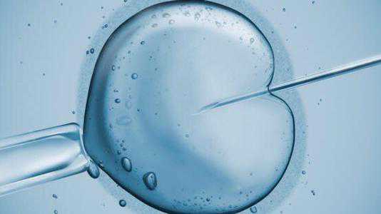 汕头有没有代孕中心_分析：大龄只有一个卵泡，美国试管婴儿能取卵成功吗？
