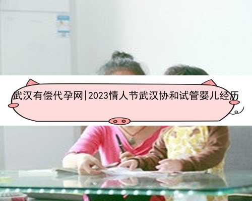 武汉有偿代孕网|2023情人节武汉协和试管婴儿经历