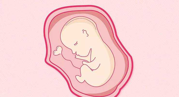 桂林代孕婴儿多少钱_桂林助孕生殖医院代孕过程_移植怀孕后可以吃哈密瓜吗试