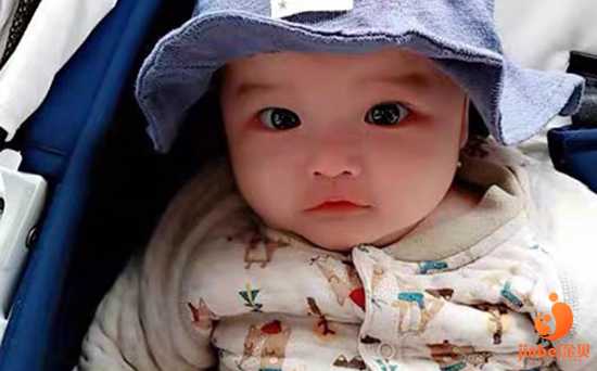 邵阳第一代孕公司,北京供卵医院做三代试管婴儿移植大概需要多少钱-梦见许多